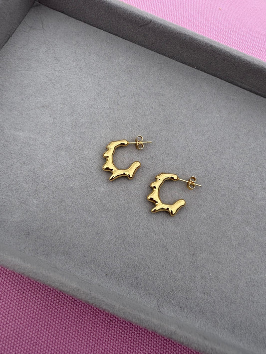 Charlie earrings