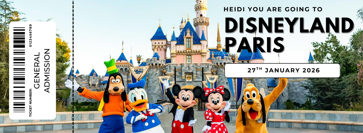 Souvenir Paper Tickets Concerts